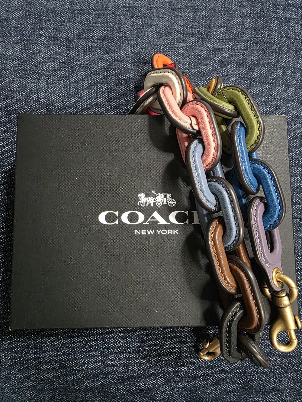 COACH Leather Chain Strap